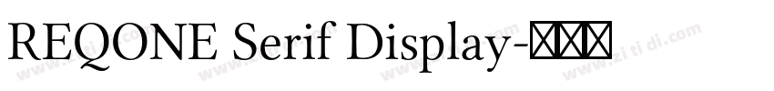 REQONE Serif Display字体转换 REQONE Serif Display字体转换